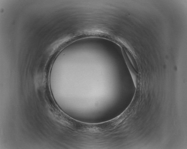 X0000081340583200701111426