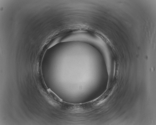 X0000081340589200701111426