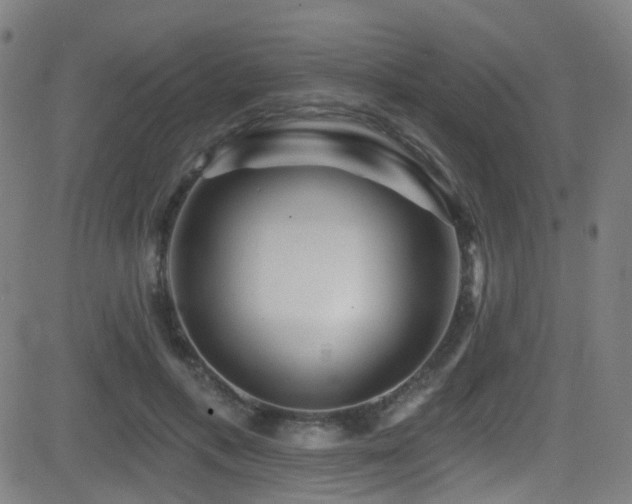 X0000081340597200701111426