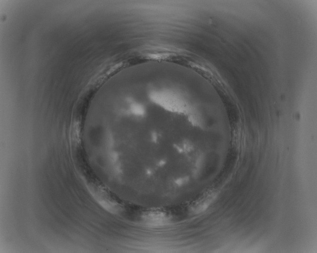 X0000081340598200701111426
