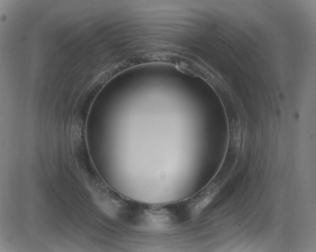 X0000081340603200701111426