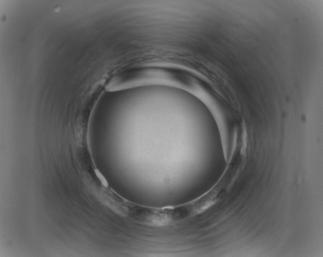 X0000081340604200701111426
