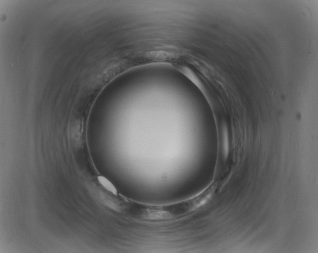 X0000081340605200701111426