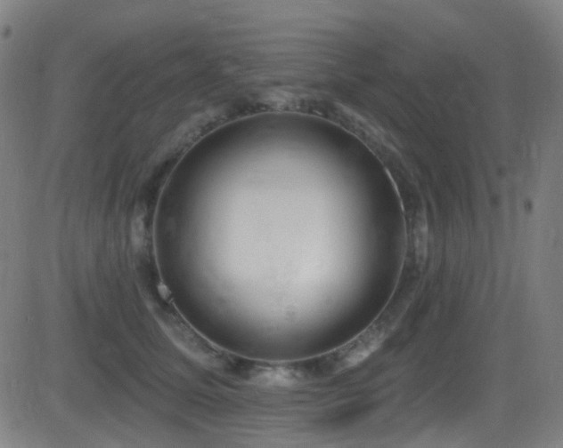 X0000081340611200701111426