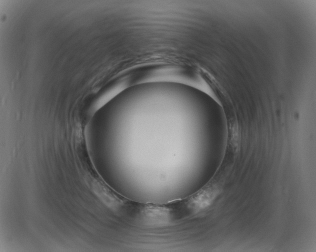 X0000081340617200701111426