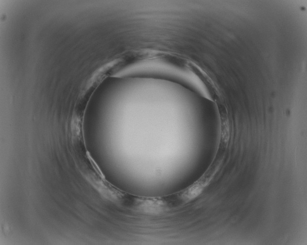 X0000081340621200701111426