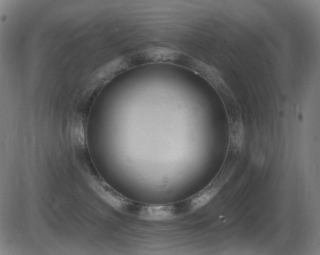 X0000081340622200701111426