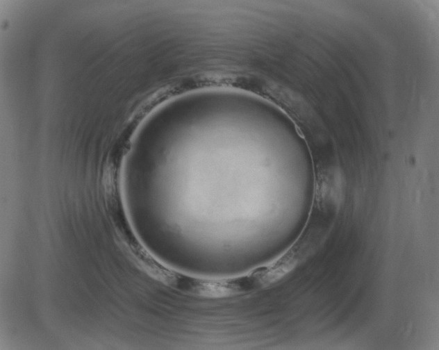 X0000081340623200701111426