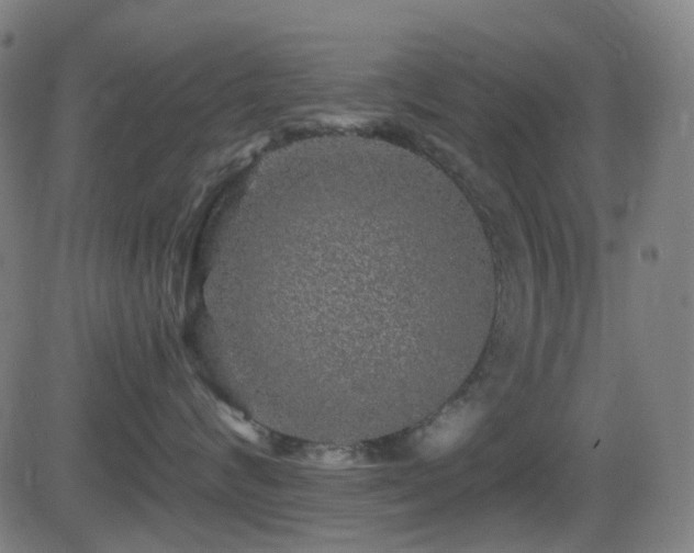 X0000081340624200701111426
