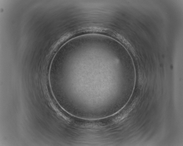 X0000081340625200701111425