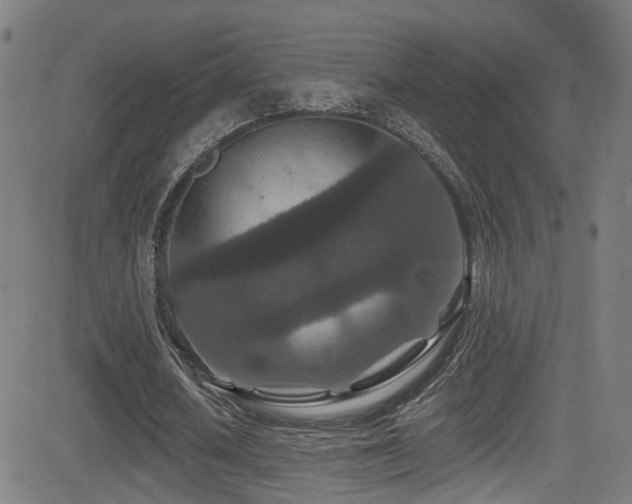 X0000081340626200701111425