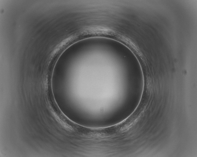 X0000081340629200701111425