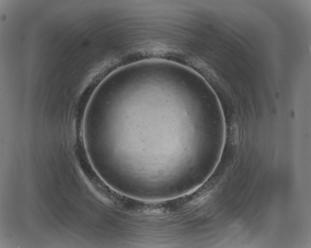 X0000081340638200701111425