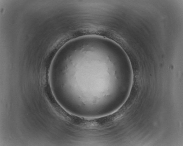 X0000081340642200701111425