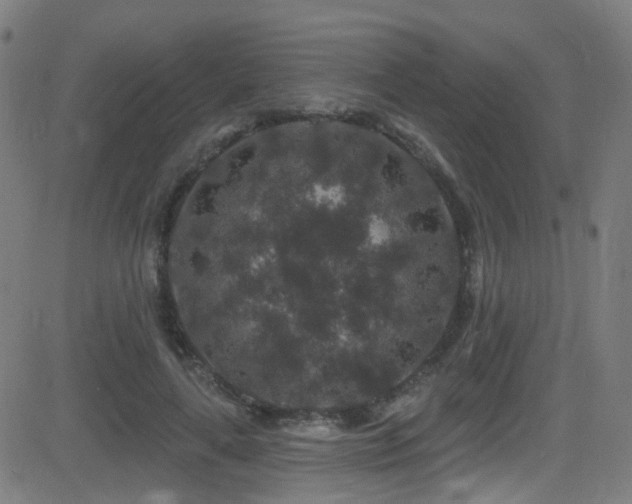X0000081340643200701111425