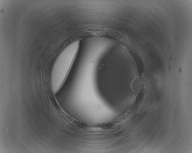 X0000081340650200701111425