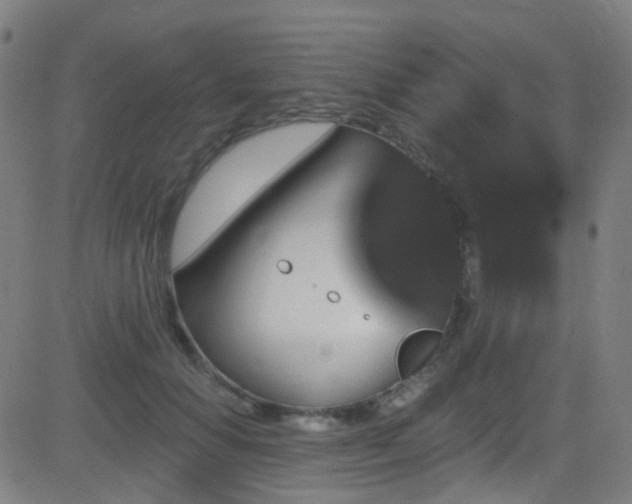 X0000081340654200701111425