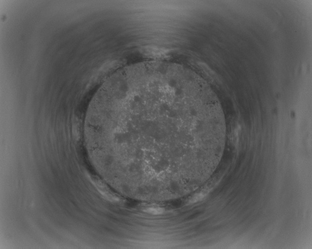 X0000081340658200701111425