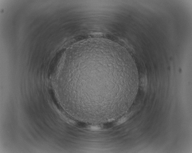 X0000081340662200701111425