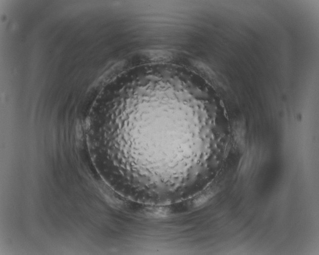 X0000081340667200701111425