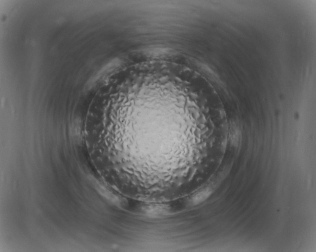X0000081340670200701111425