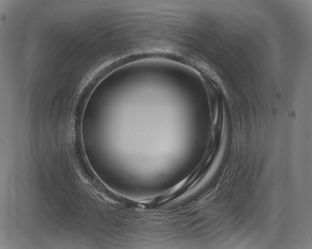 X0000081340676200701111425