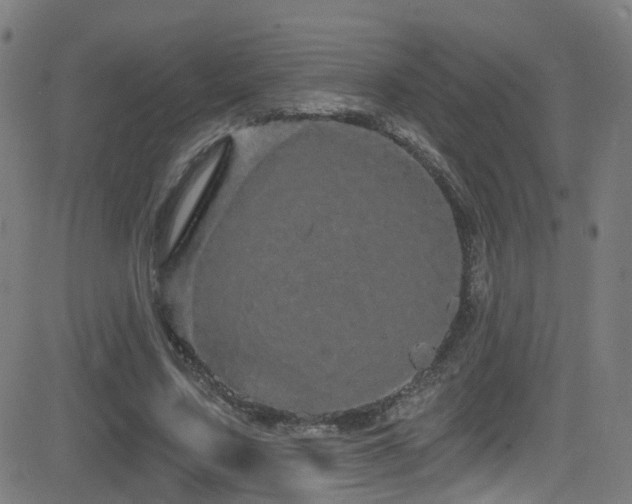 X0000081340683200701111425