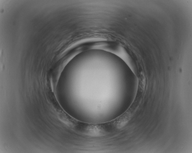 X0000081340704200701111424