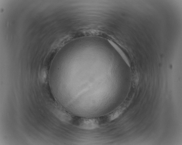 X0000081340709200701111424