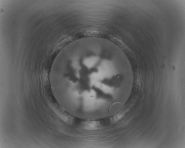 X0000081340711200701111424