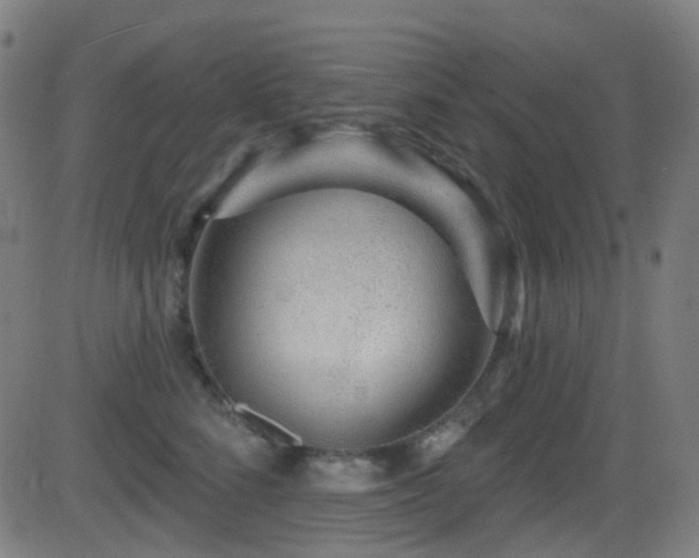 X0000081340712200701111424