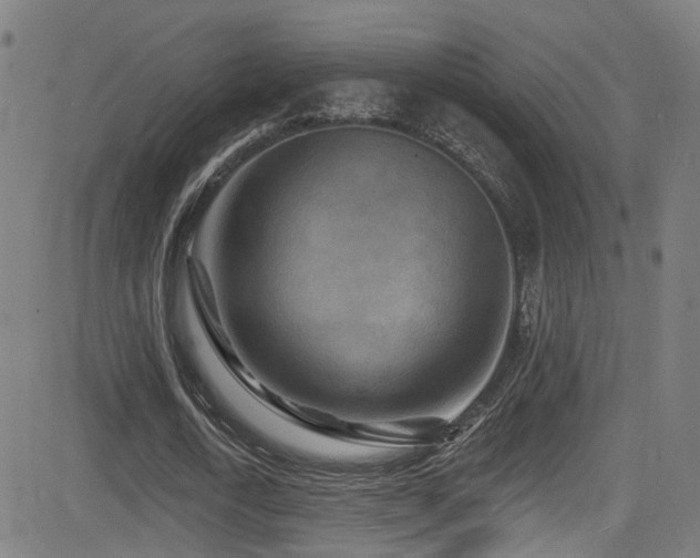 X0000081340722200701111423