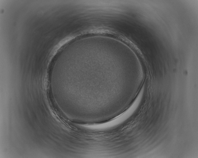 X0000081340724200701111423