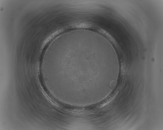 X0000081340725200701111423