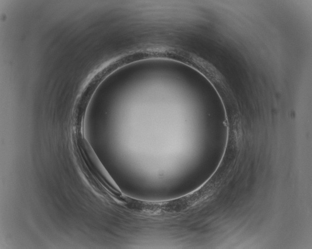 X0000081340728200701111423