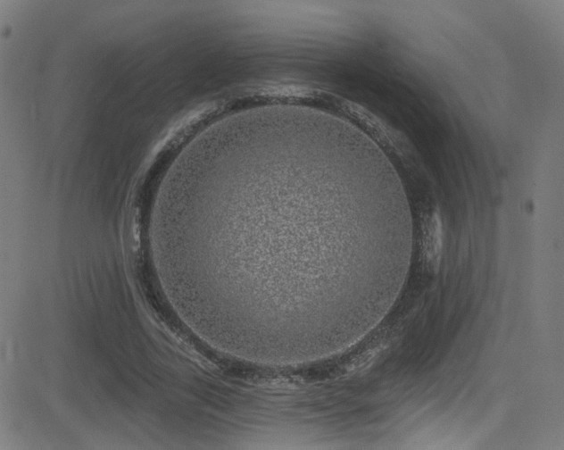 X0000081340731200701111423