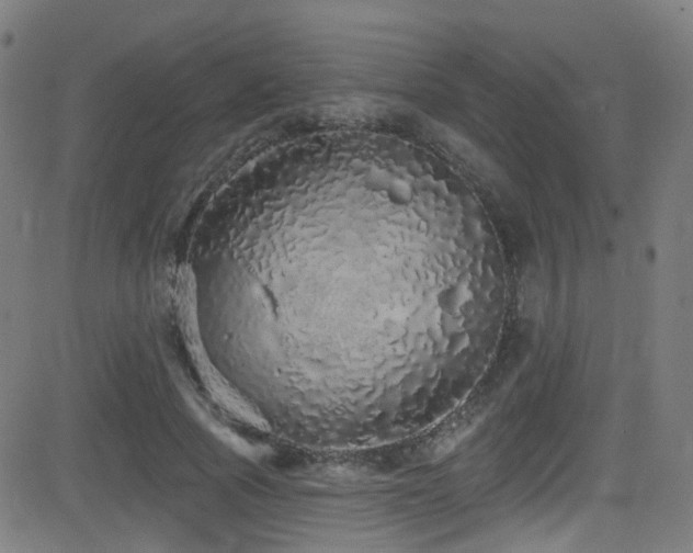 X0000081340737200701111423