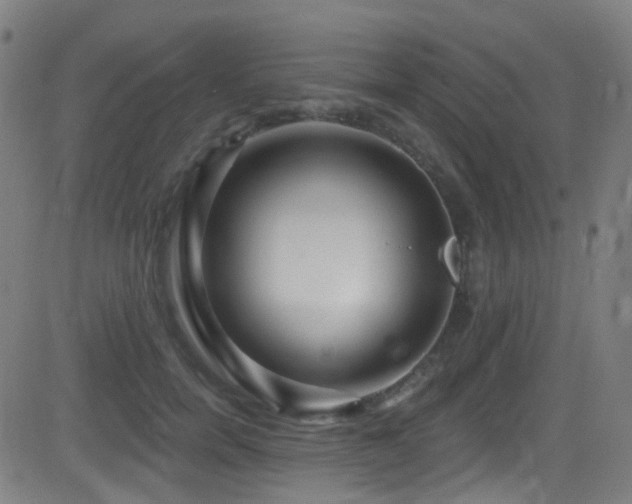 X0000081340750200701111424