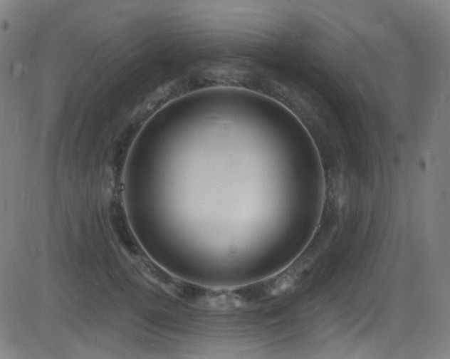 X0000081340752200701111424