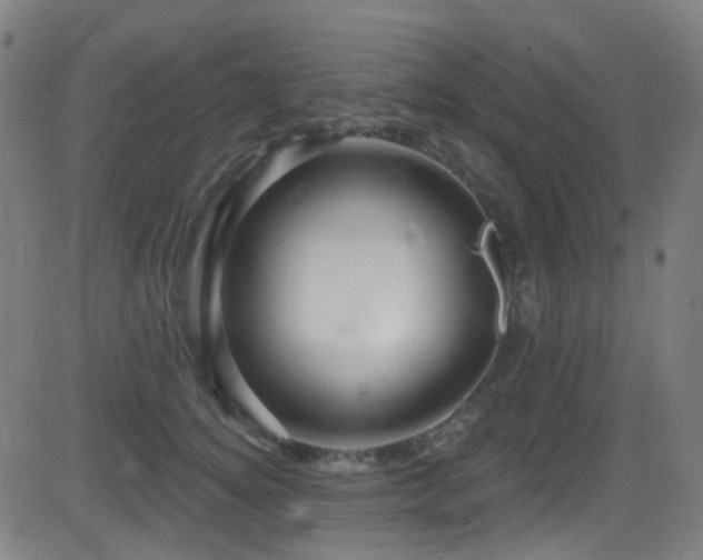 X0000081340756200701111424