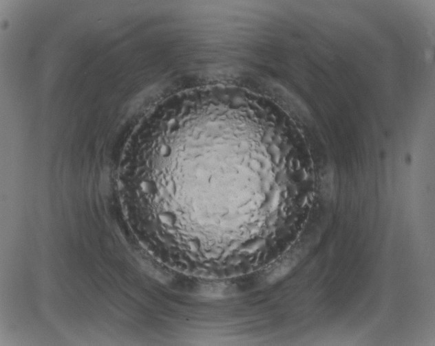 X0000081340757200701111424