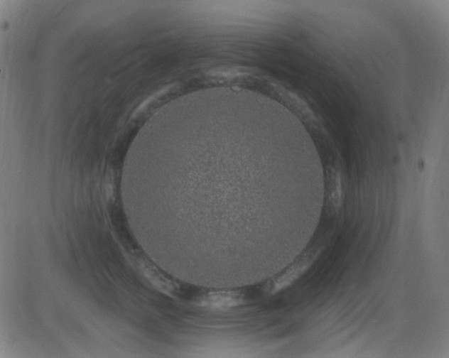X0000081340758200701111424