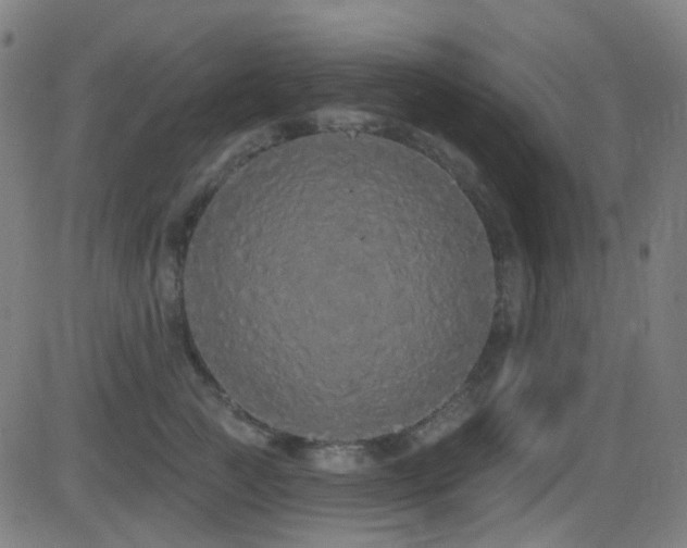 X0000081340761200701111424