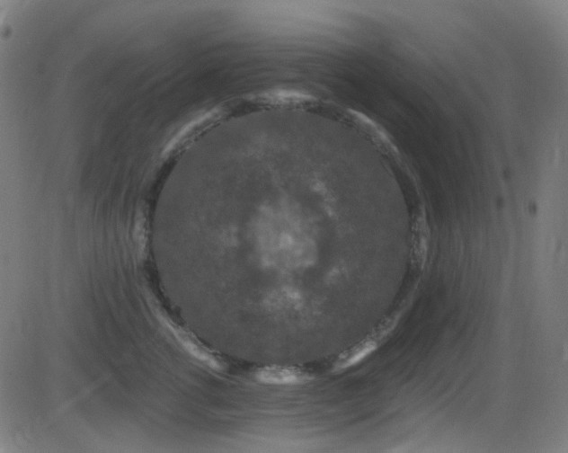 X0000081340762200701111424