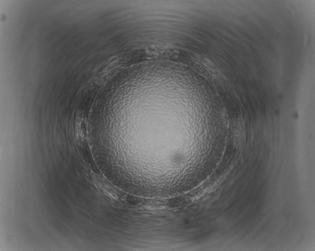 X0000081340770200701111423
