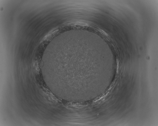 X0000081340774200701111423