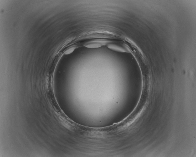 X0000081340777200701111423