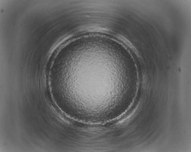 X0000081340782200701111423