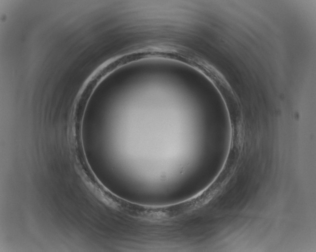 X0000081340784200701111423