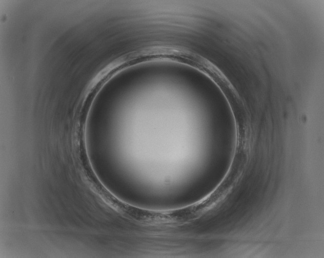 X0000081340786200701111423